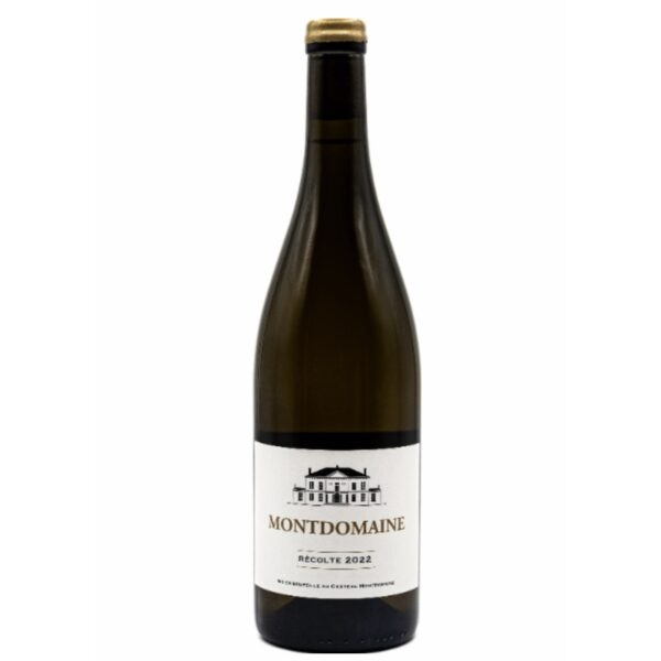 CHENIN BLANC TOURAINE AMBOISE DOMAINE MONTDOMAINE 2022