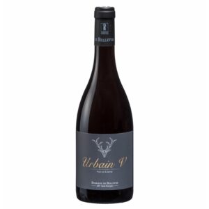 SAINT POURCAIN AOP URBAIN V ROUGE DOMAINE BELLEVUE